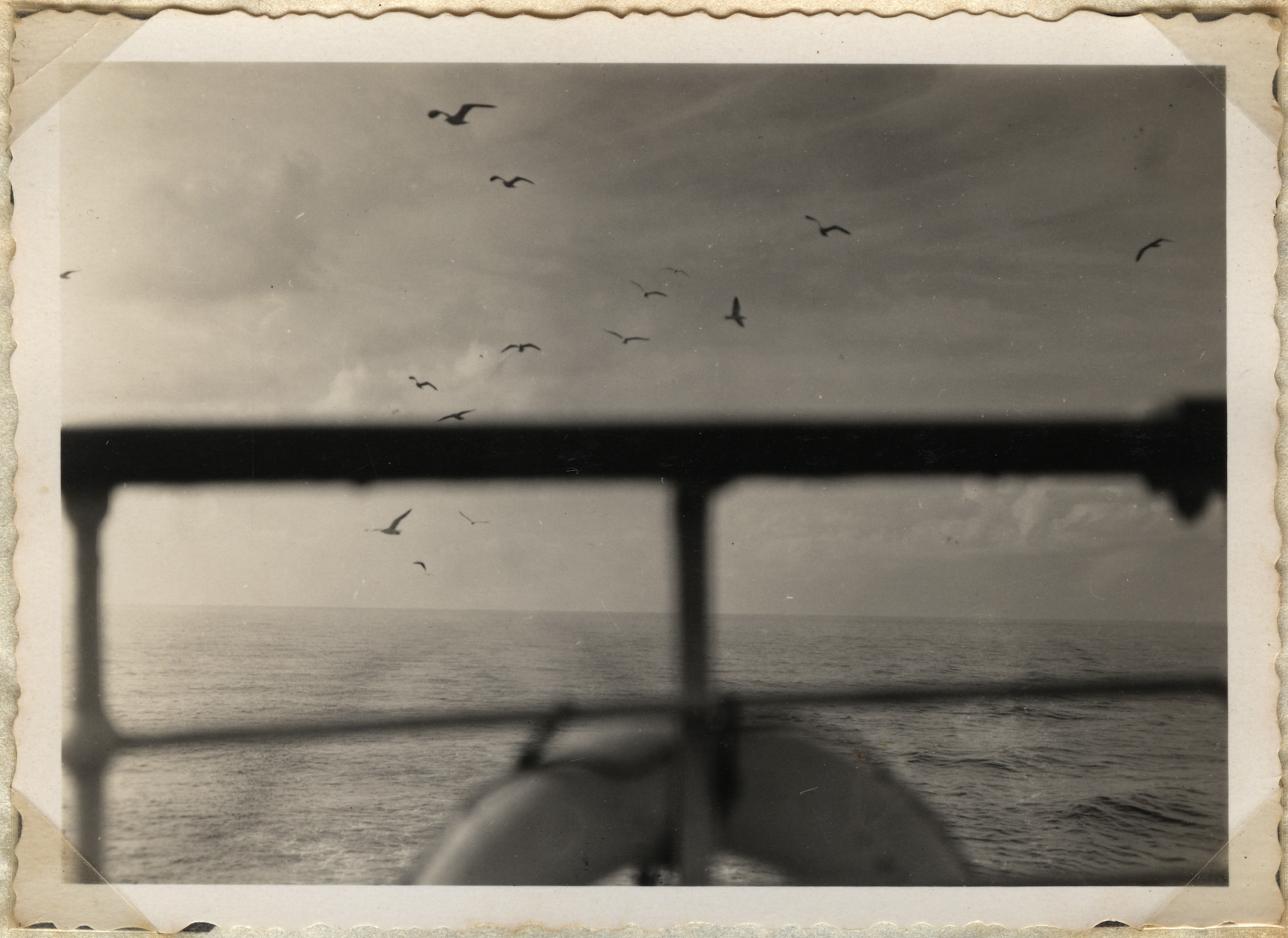 Read more about the article A Journey to Palestine: The 1938 Diary of Albert Goetz